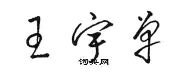 骆恒光王宇单草书个性签名怎么写