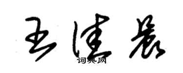 朱锡荣王佳晨草书个性签名怎么写