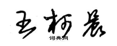 朱锡荣王柯晨草书个性签名怎么写