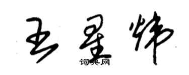 朱锡荣王星炜草书个性签名怎么写