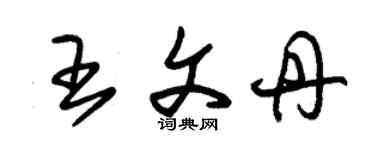 朱锡荣王文丹草书个性签名怎么写