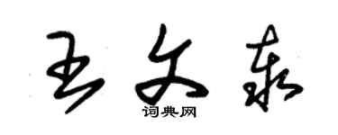 朱锡荣王文泰草书个性签名怎么写