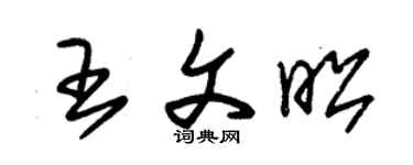 朱锡荣王文昭草书个性签名怎么写