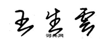 朱锡荣王生云草书个性签名怎么写