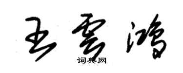 朱锡荣王云鸿草书个性签名怎么写