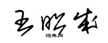 朱锡荣王昭成草书个性签名怎么写