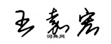 朱锡荣王嘉宏草书个性签名怎么写