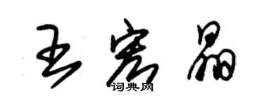 朱锡荣王宏晶草书个性签名怎么写