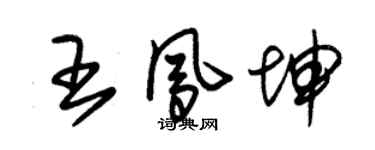 朱锡荣王凤坤草书个性签名怎么写