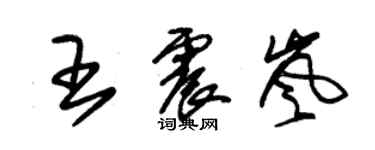 朱锡荣王震岚草书个性签名怎么写