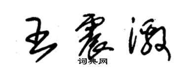 朱锡荣王震激草书个性签名怎么写