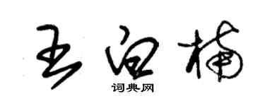 朱锡荣王白楠草书个性签名怎么写