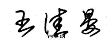朱锡荣王佳晏草书个性签名怎么写