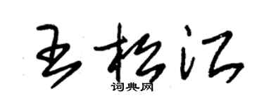 朱锡荣王松江草书个性签名怎么写