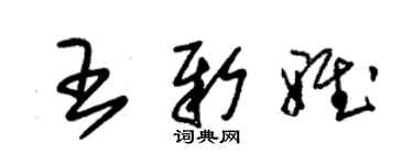 朱锡荣王新雅草书个性签名怎么写