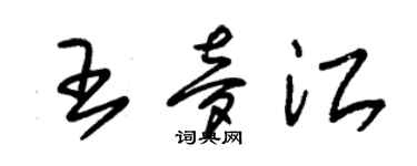 朱锡荣王梦江草书个性签名怎么写