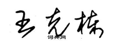 朱锡荣王克栋草书个性签名怎么写