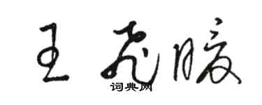 骆恒光王飞暖草书个性签名怎么写