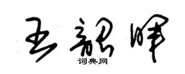 朱锡荣王韶晖草书个性签名怎么写