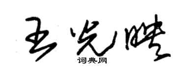 朱锡荣王光映草书个性签名怎么写