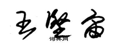 朱锡荣王坚宙草书个性签名怎么写