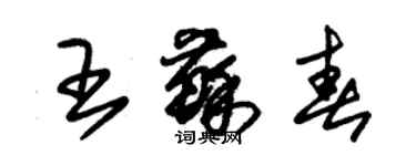 朱锡荣王苏春草书个性签名怎么写