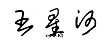 朱锡荣王星河草书个性签名怎么写