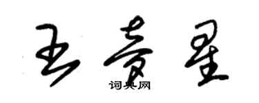 朱锡荣王梦星草书个性签名怎么写