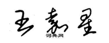 朱锡荣王嘉星草书个性签名怎么写