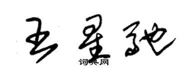 朱锡荣王星驰草书个性签名怎么写