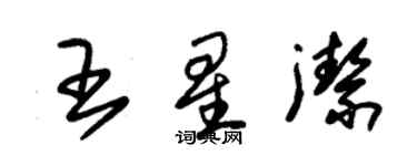 朱锡荣王星洁草书个性签名怎么写