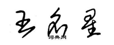朱锡荣王名星草书个性签名怎么写