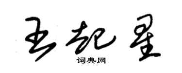 朱锡荣王起星草书个性签名怎么写