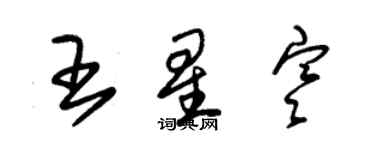朱锡荣王星寒草书个性签名怎么写