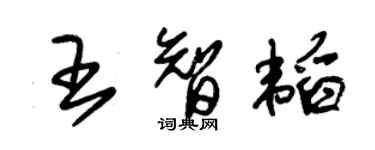 朱锡荣王智韬草书个性签名怎么写