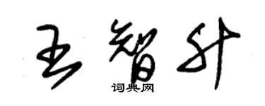 朱锡荣王智升草书个性签名怎么写
