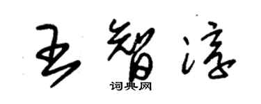 朱锡荣王智淳草书个性签名怎么写