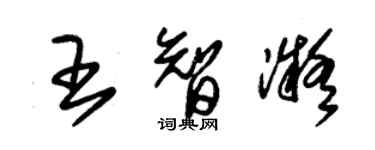 朱锡荣王智凝草书个性签名怎么写