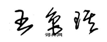 朱锡荣王鲁琪草书个性签名怎么写