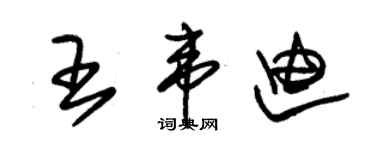 朱锡荣王韦迪草书个性签名怎么写