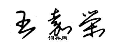 朱锡荣王嘉荣草书个性签名怎么写