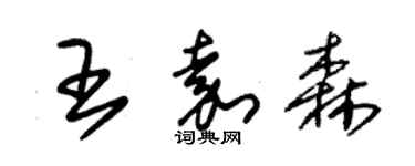朱锡荣王嘉森草书个性签名怎么写