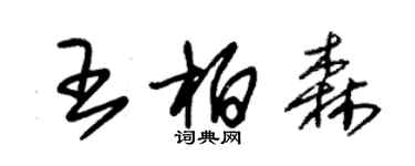朱锡荣王柏森草书个性签名怎么写