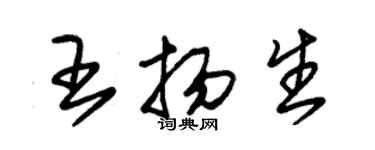 朱锡荣王扬生草书个性签名怎么写