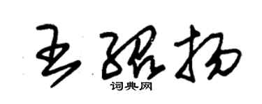 朱锡荣王绍扬草书个性签名怎么写