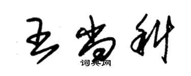 朱锡荣王尚科草书个性签名怎么写