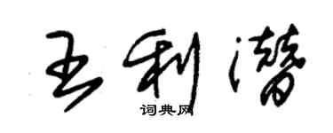 朱锡荣王利潜草书个性签名怎么写
