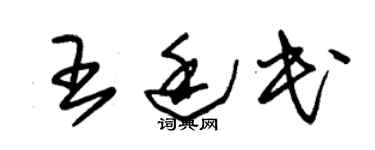 朱锡荣王廷民草书个性签名怎么写