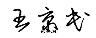 朱锡荣王京民草书个性签名怎么写