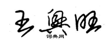 朱锡荣王兴旺草书个性签名怎么写